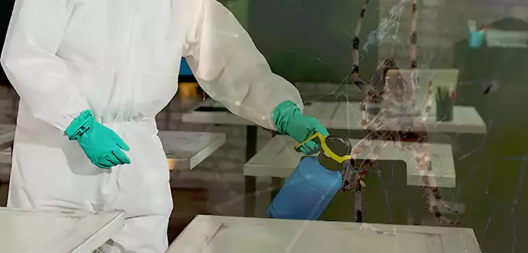 Why Buyers Still Want Homes With Pest Infestations in St. Paul, MN?