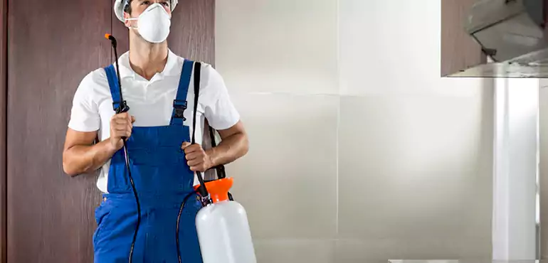 Why St. Paul Homeowners Choose Us When Pests Make Selling Difficult