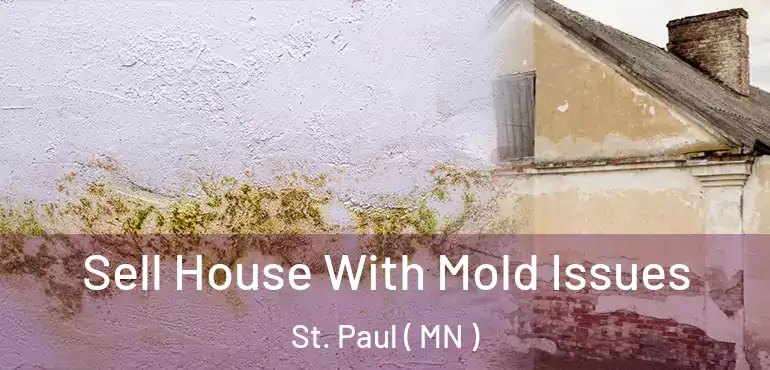  Sell House With Mold Issues St. Paul ( MN )